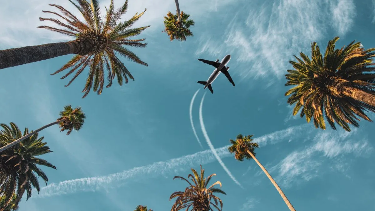 Collaboration entre professionnels du secteur douanier