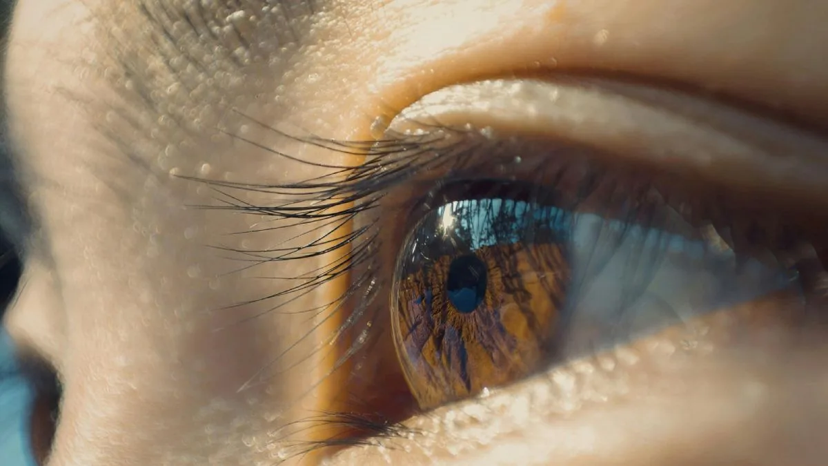 Reconnaissance officielle et environnement douanier