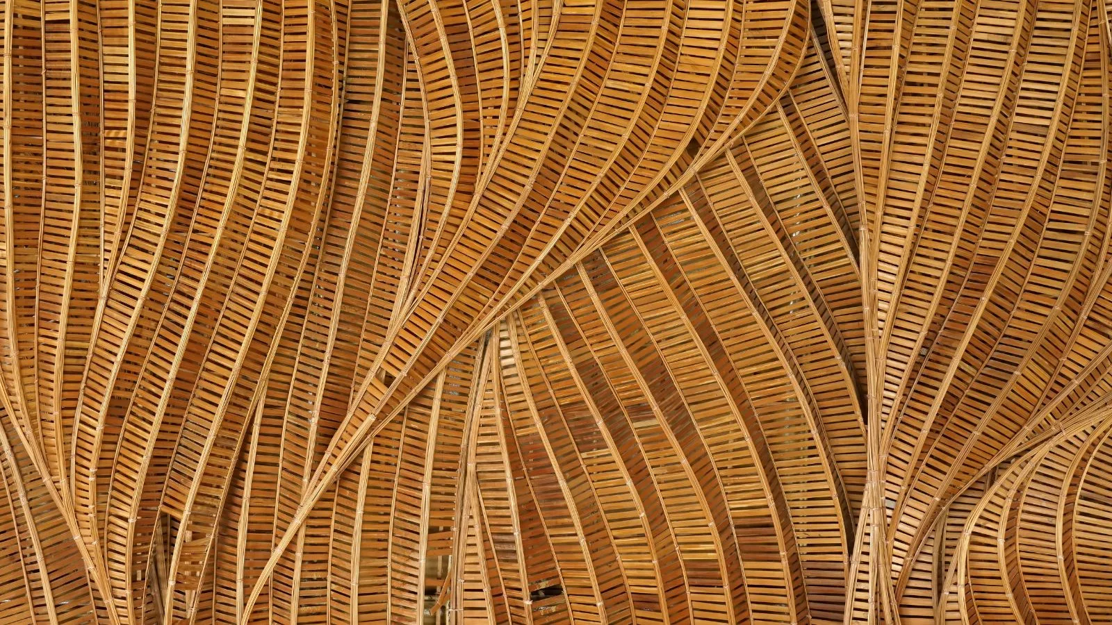 Professionnelle représentant un réseau opérationnel en croissance